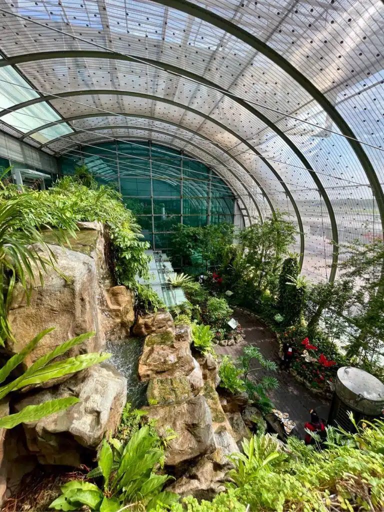 butterfly-garden-singapore